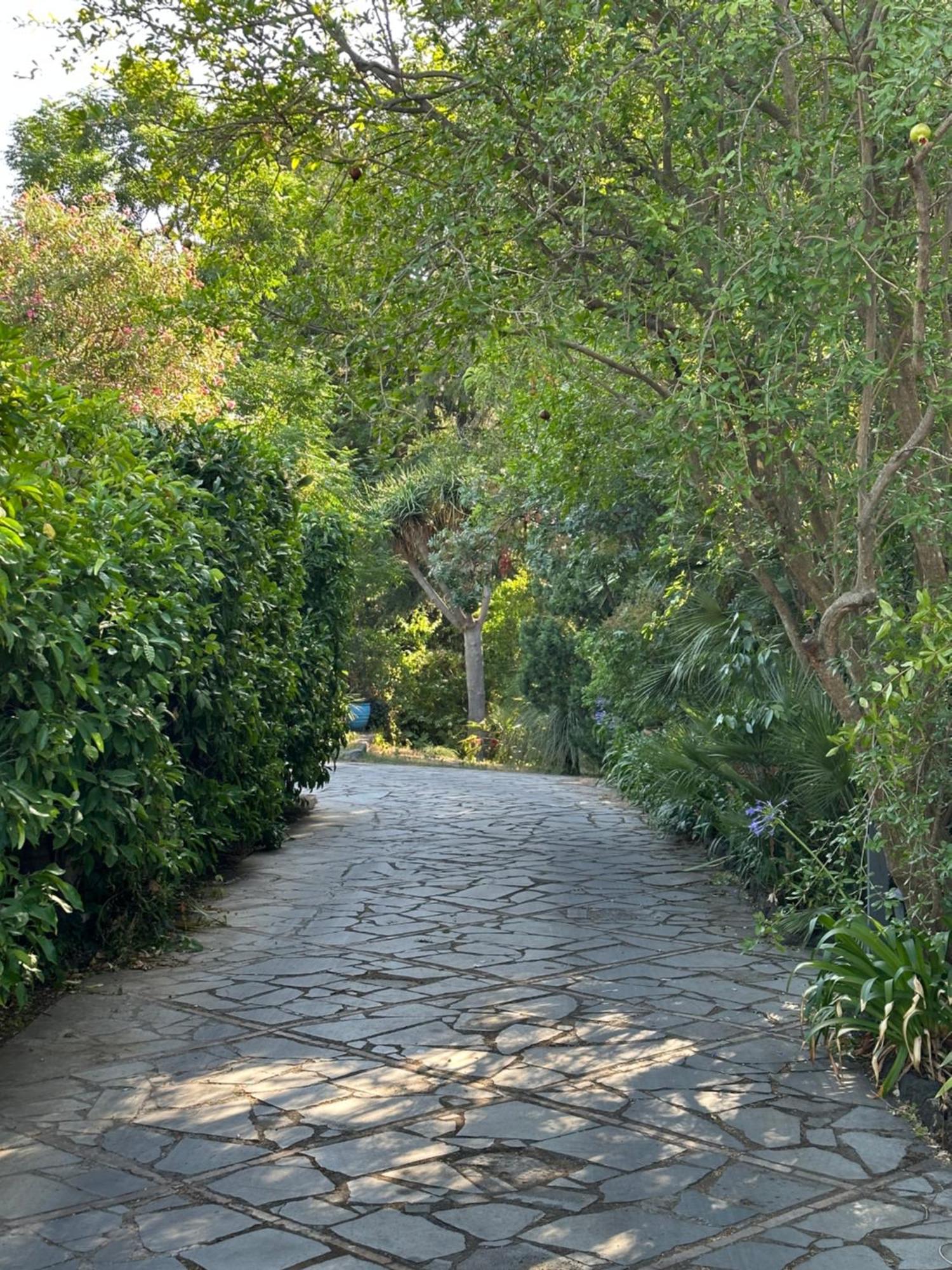 Etna Botanic Garden Daire Mascalucia Dış mekan fotoğraf